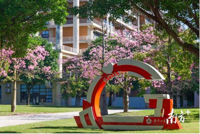 乐玩官方（中国）总部校园图景。受访者供图